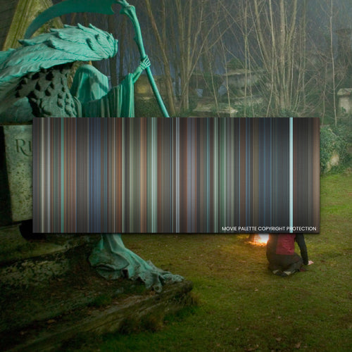 Harry Potter and the Goblet of Fire movie barcode canvas print, the whole film as stripes of color