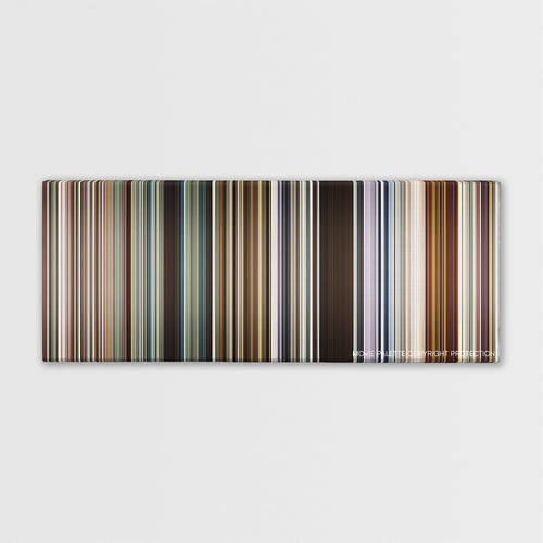 Beasts of the Southern Wild color palette canvas print: thousands of thin vertical stripes of color