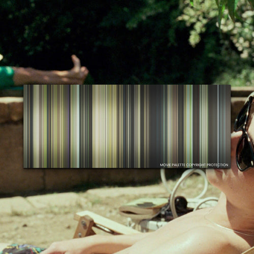 Call Me by Your Name movie barcode canvas print, the whole film as stripes of color