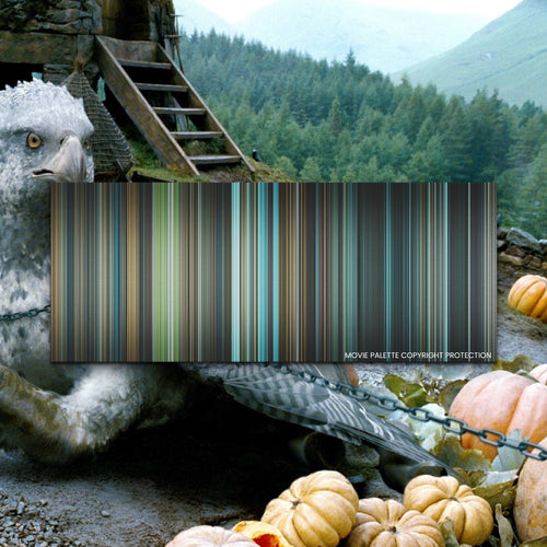 Harry Potter and the Prisoner of Azkaban movie barcode canvas print, the whole film as stripes of color