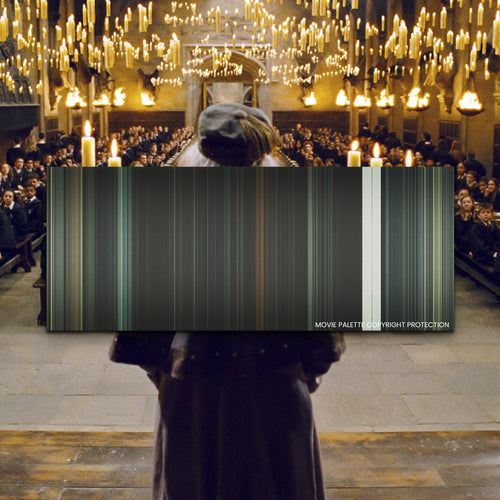 Harry Potter and the Deathly Hallows: Part 2 movie barcode canvas print, the whole film as stripes of color