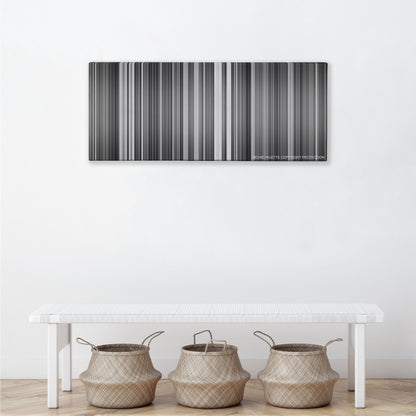 Rashomon color palette canvas above a white bench with three woven baskets