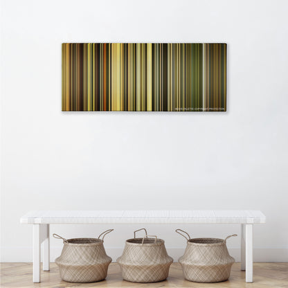 Dangal color palette canvas above a white bench with three woven baskets