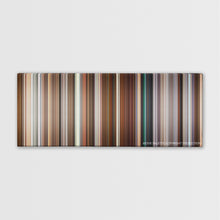 Load image into Gallery viewer, Long Shot (2019) Movie Palette
