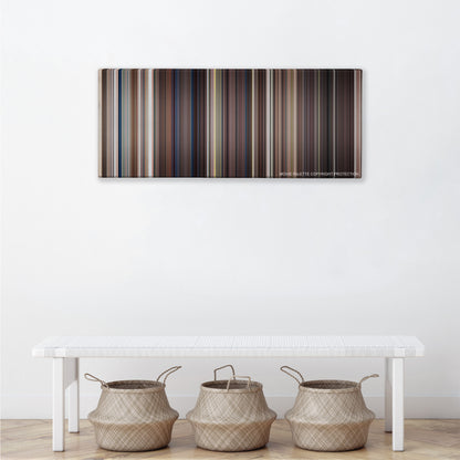 Ace Ventura: Pet Detective color palette canvas above a white bench with three woven baskets