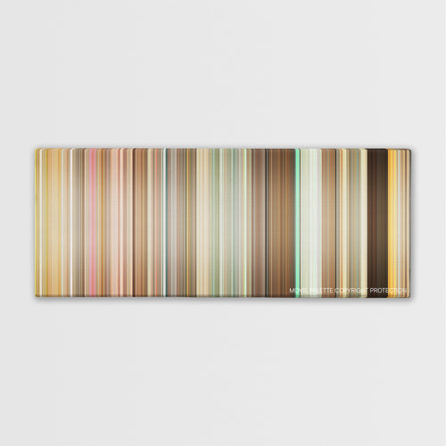Disaster Movie color palette canvas print: thousands of thin vertical stripes of color