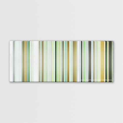 Dogtooth color palette canvas print: thousands of thin vertical stripes of color