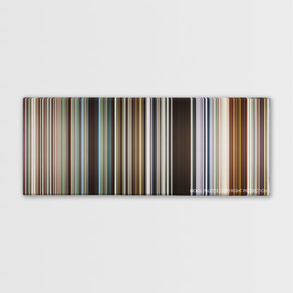 Beasts of the Southern Wild color palette canvas print: thousands of thin vertical stripes of color