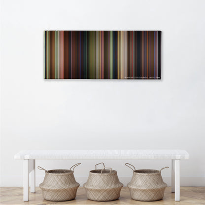 Shrek 2 color palette canvas above a white bench with three woven baskets