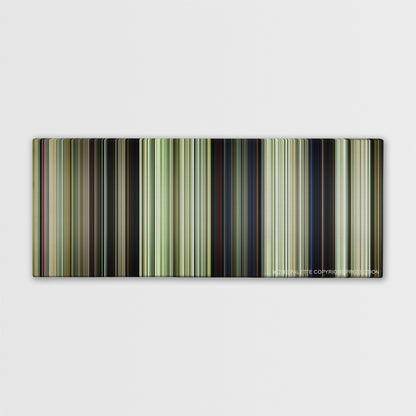 We Were Soldiers color palette canvas print: thousands of thin vertical stripes of color
