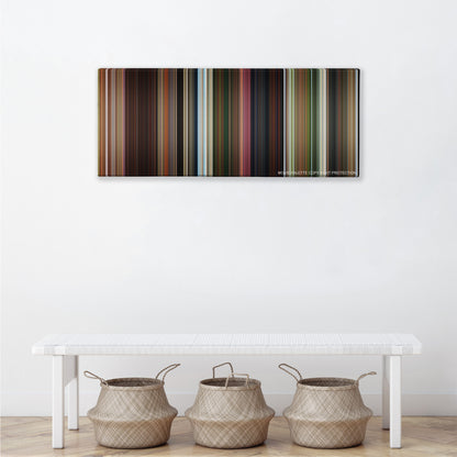 Madagascar color palette canvas above a white bench with three woven baskets