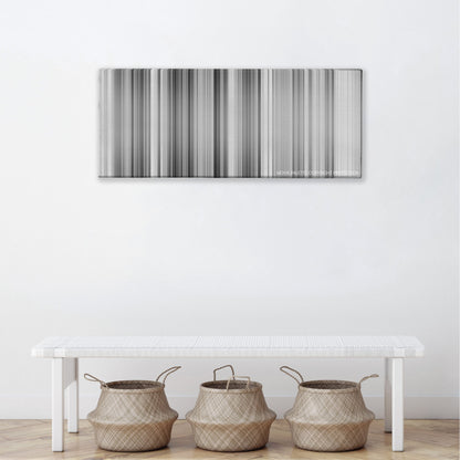 Bicycle Thieves color palette canvas above a white bench with three woven baskets