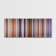 Load image into Gallery viewer, The Campaign (2012) Movie Palette
