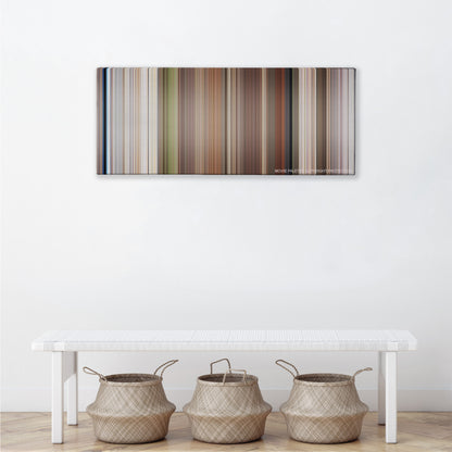 Planet of the Apes color palette canvas above a white bench with three woven baskets