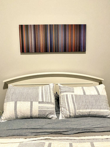 Customer photo of The Martian (2015) canvas